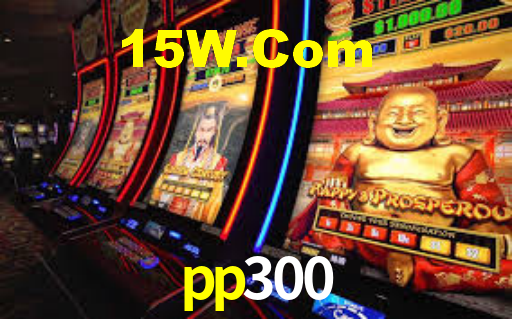 pp300 App Interface